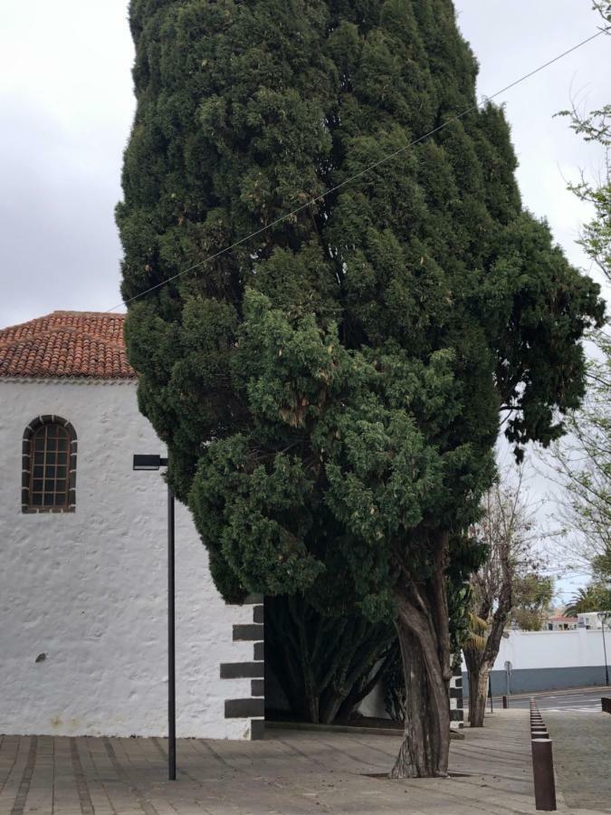 Estacion Camacho Lägenhet Tacoronte Exteriör bild