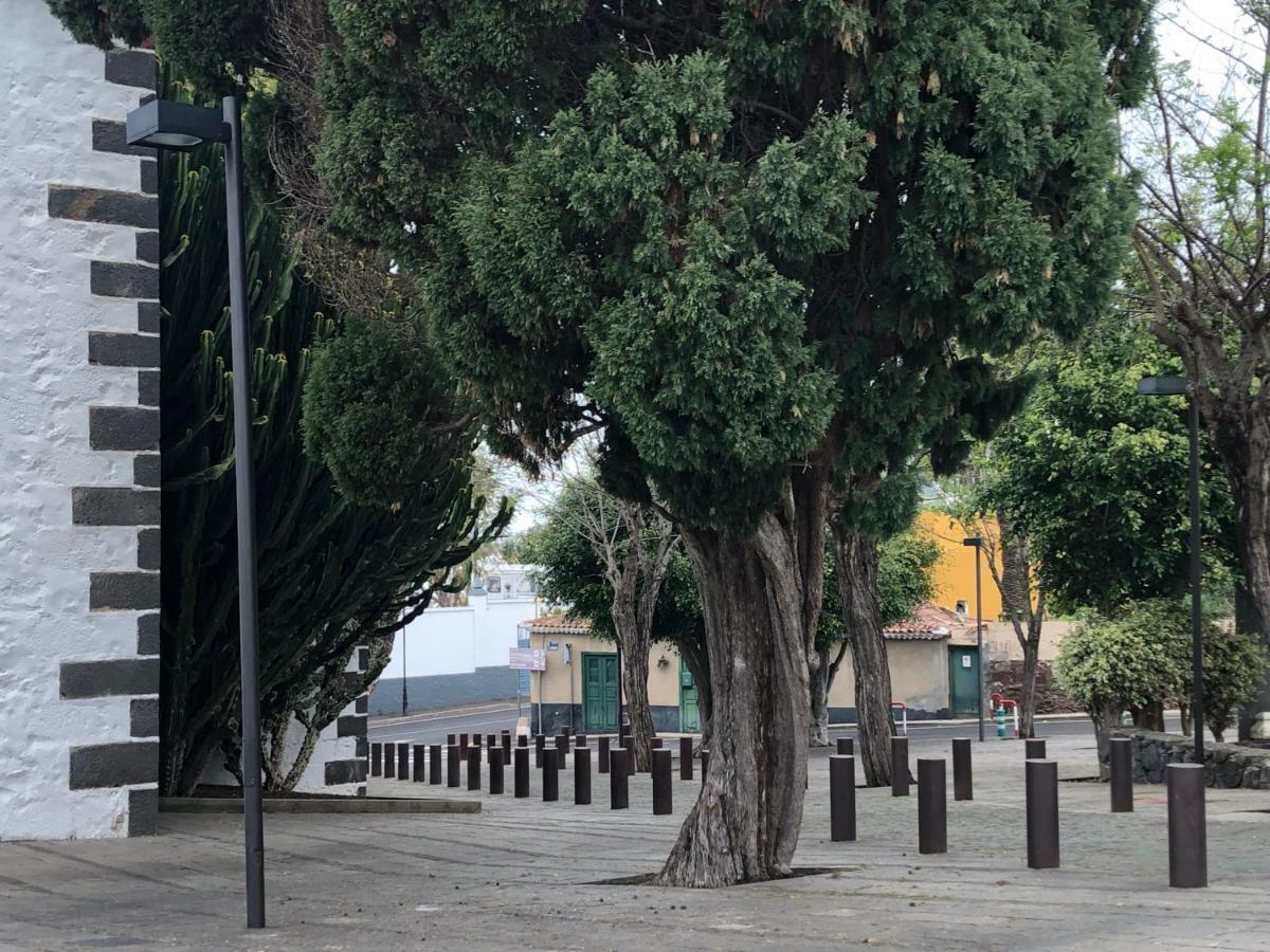 Estacion Camacho Lägenhet Tacoronte Exteriör bild