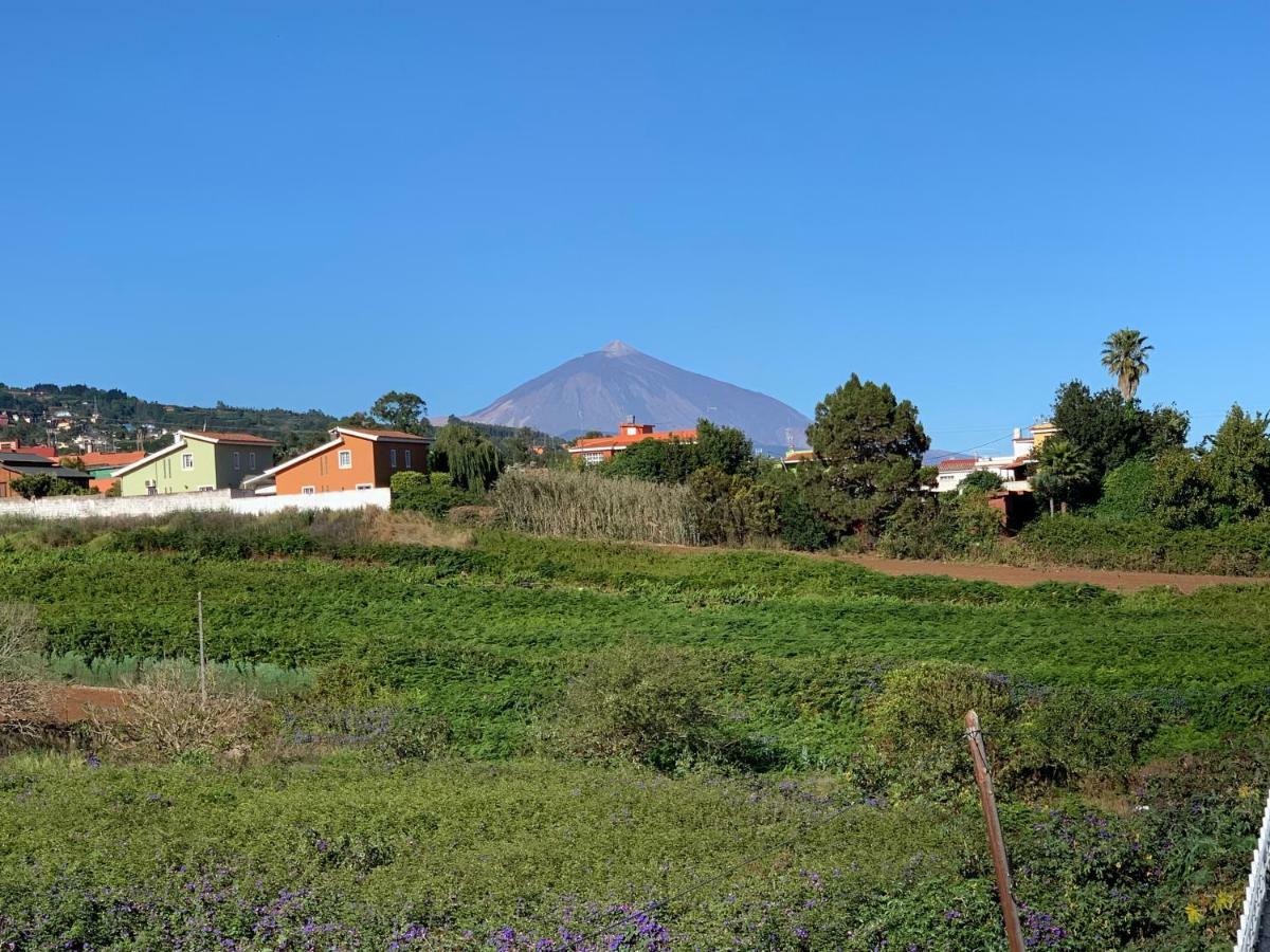 Estacion Camacho Lägenhet Tacoronte Exteriör bild