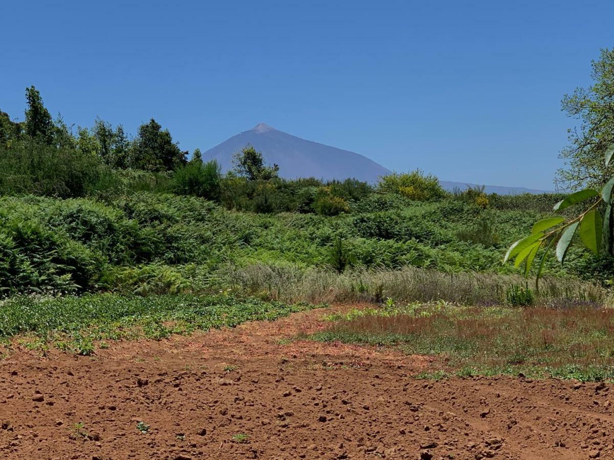 Estacion Camacho Lägenhet Tacoronte Exteriör bild